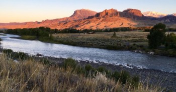 Leadership Development at ExxonMobil